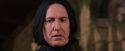 PF-Potterish_09648.jpg