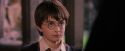 PF-Potterish_09649.jpg
