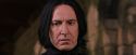 PF-Potterish_09652.jpg