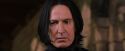 PF-Potterish_09653.jpg