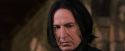 PF-Potterish_09654.jpg