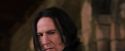 PF-Potterish_09655.jpg