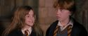 PF-Potterish_09665.jpg