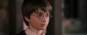 PF-Potterish_09667.jpg