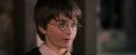 PF-Potterish_09668.jpg