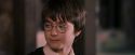 PF-Potterish_09672.jpg