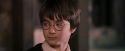 PF-Potterish_09673.jpg