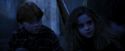 PF-Potterish_09878.jpg