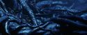 PF-Potterish_09985.jpg