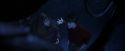 PF-Potterish_10022.jpg