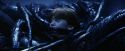 PF-Potterish_10031.jpg