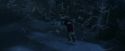 PF-Potterish_10219.jpg