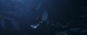 PF-Potterish_10230.jpg