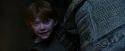 PF-Potterish_10427.jpg