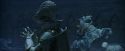 PF-Potterish_10650.jpg