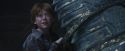 PF-Potterish_10686.jpg