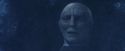 PF-Potterish_11131.jpg