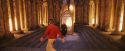 PF-Potterish_11182.jpg