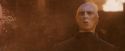 PF-Potterish_11207.jpg