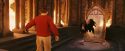PF-Potterish_11287.jpg