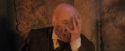 PF-Potterish_11340.jpg