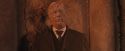 PF-Potterish_11346.jpg