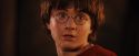 PF-Potterish_11405.jpg