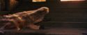PF-Potterish_11422.jpg