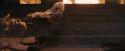 PF-Potterish_11423.jpg