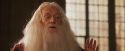 PF-Potterish_11535.jpg