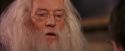 PF-Potterish_11627.jpg