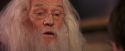 PF-Potterish_11628.jpg