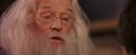 PF-Potterish_11630.jpg