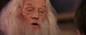 PF-Potterish_11631.jpg