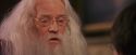 PF-Potterish_11639.jpg