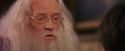 PF-Potterish_11653.jpg
