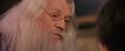 PF-Potterish_11663.jpg