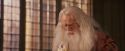 PF-Potterish_11706.jpg