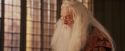 PF-Potterish_11717.jpg