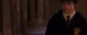PF-Potterish_11741.jpg