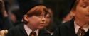 PF-Potterish_11780.jpg