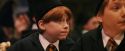 PF-Potterish_11781.jpg
