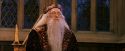 PF-Potterish_11800.jpg