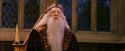 PF-Potterish_11801.jpg