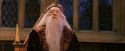 PF-Potterish_11816.jpg