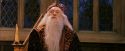 PF-Potterish_11818.jpg