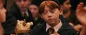 PF-Potterish_11824.jpg
