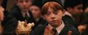 PF-Potterish_11825.jpg
