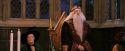 PF-Potterish_11827.jpg