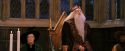 PF-Potterish_11828.jpg